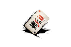 Studio Wildcard