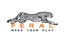 Feral Interactive