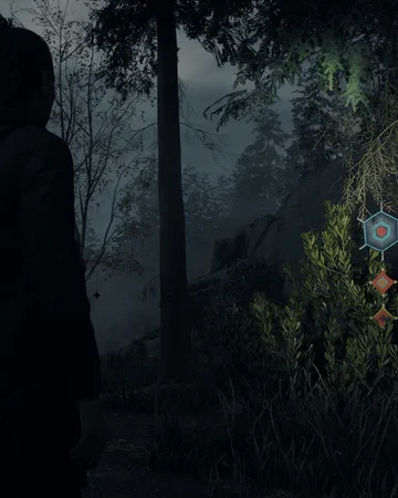 alan wake 2 deluxe edition (ps5)