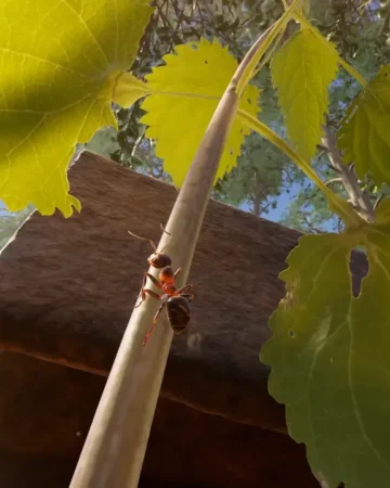 empire of the ants 2