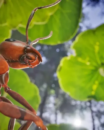 empire of the ants