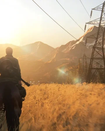the last of us part ii (ps4)